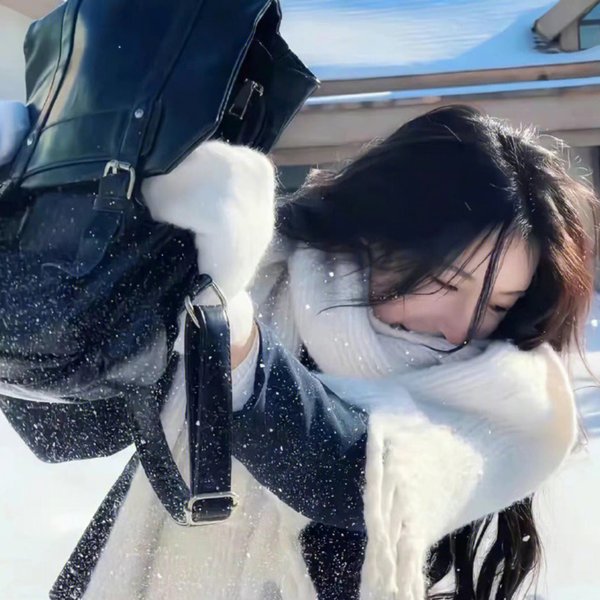安娜的幻想冒险 海报